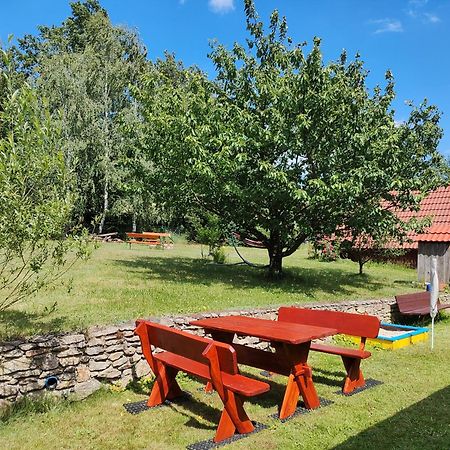 Apartament Izerskie Gaje Wojcieszyce Exterior foto